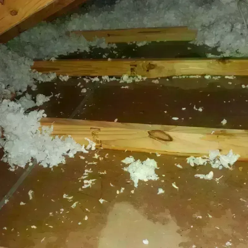 Attic Water Damage in Arlington, OH